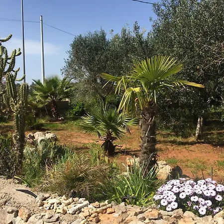 Terrae Ulivae Affittacamere